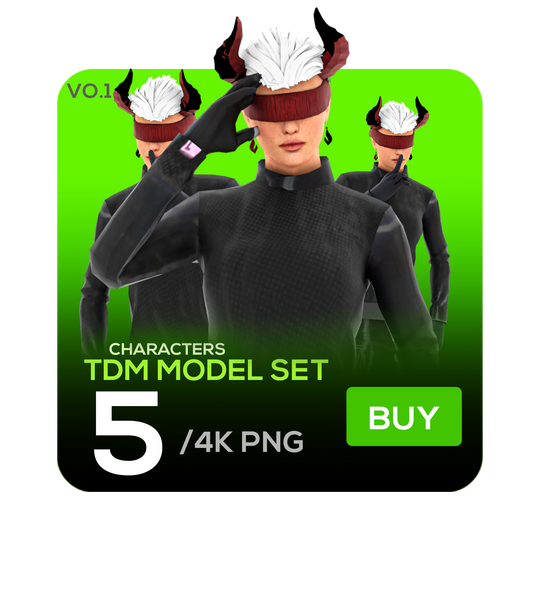 TDM MODEL SET